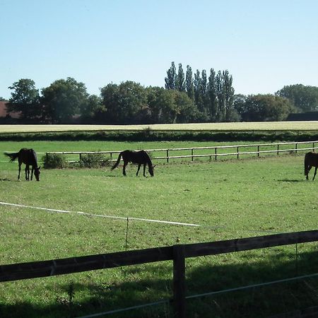 Ferienwohnung "Landblick" Ludinghausen Bagian luar foto
