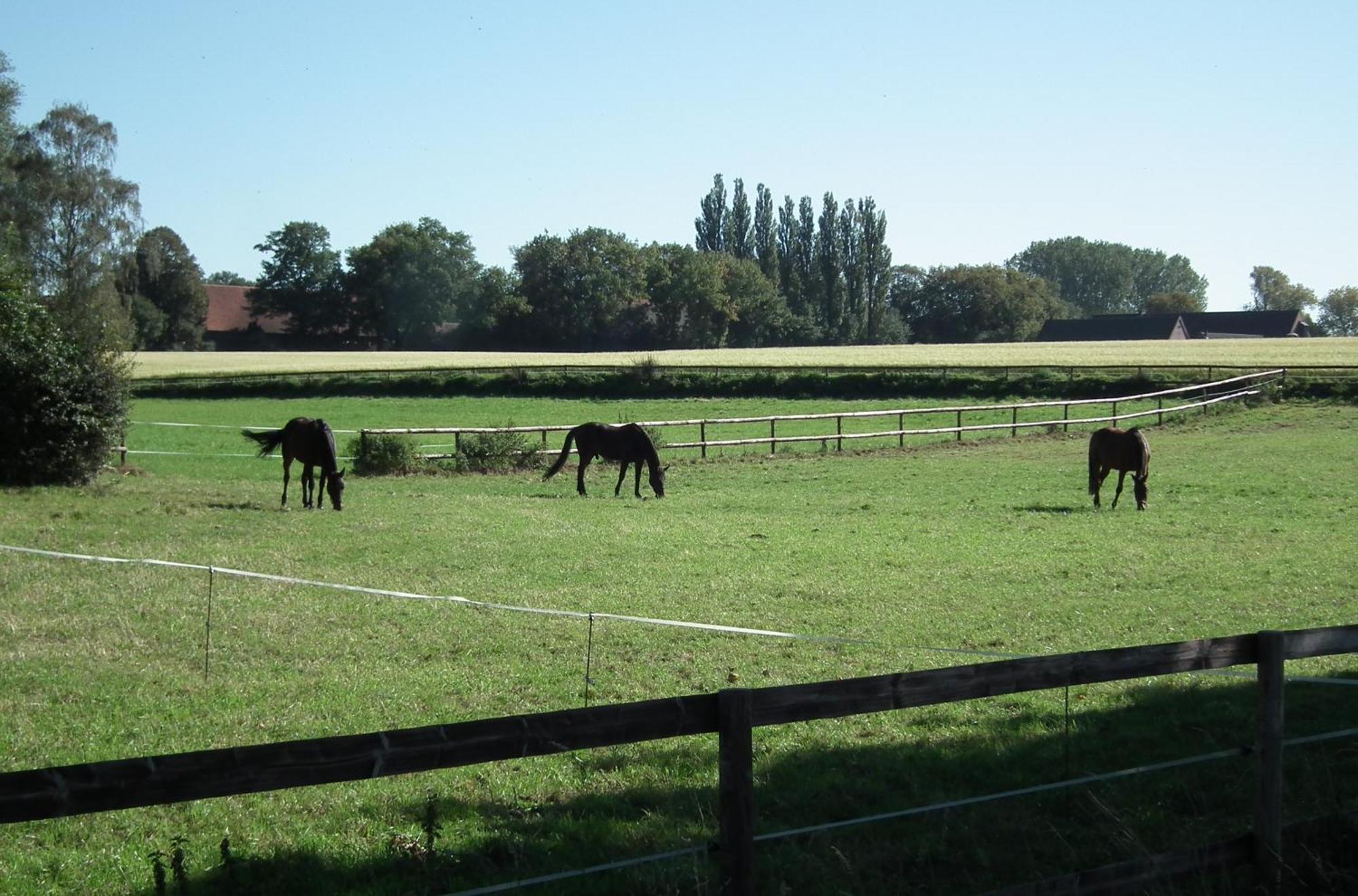 Ferienwohnung "Landblick" Ludinghausen Bagian luar foto